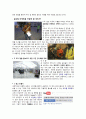 ★ 사업계획서 과제 (세계화 과제) ★ 5페이지