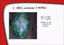 창업 - MIES 컨테이너 10페이지