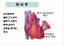 고지혈증에 대한 내용 8페이지