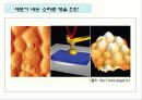 세균과 효모 5페이지