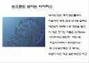 세균과 효모 25페이지