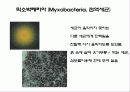 세균과 효모 26페이지