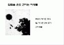 세균과 효모 36페이지