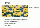 세균과 효모 38페이지