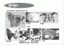 암(Cancer) 4페이지