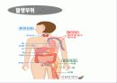 암(Cancer) 10페이지