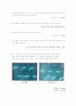 클램핑 회로(Clamping) (결과 레포트) 9페이지