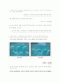 클램핑 회로(Clamping) (결과 레포트) 10페이지