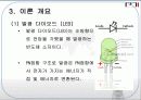 발광 다이오드 및 제너다이오드 (PPT 자료) (결과 레포트) 5페이지