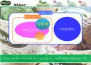 브랜드 자산 형성을 위한 IMC 전략 -나뚜루- 5페이지