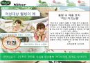 브랜드 자산 형성을 위한 IMC 전략 -나뚜루- 15페이지