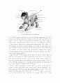 독거노인을 위한 도우미 로봇 설계 (공학) 12페이지