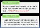 [생태학]생태적 지위 3페이지
