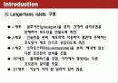 Conversion of adult pancreatic α-cells to β cells after extreme β cell loss 5페이지