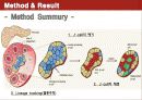 Conversion of adult pancreatic α-cells to β cells after extreme β cell loss 8페이지