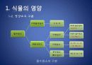 [식물생리학]_무기염류결핍 5페이지