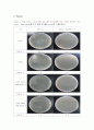 [분자유전학실험]3.Enhanced thermotolerance 5페이지