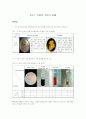 [세균학실험]1.식중독세균의검출 1페이지