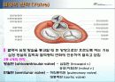 심혈관계2 6페이지