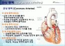 심혈관계2 11페이지