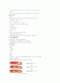 당뇨합병증 종류 및 관리 예방법 요약 4페이지