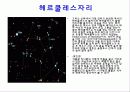 여름철 별자리 7페이지