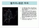 여름철 별자리 8페이지