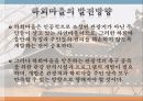 안동 하회마을의 관광활성화 방안 18페이지