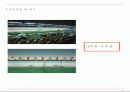 근대5종경기(사격 승마 육상 수영 펜싱) 10페이지