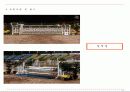 근대5종경기(사격 승마 육상 수영 펜싱) 14페이지