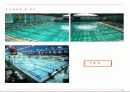 근대5종경기(사격 승마 육상 수영 펜싱) 20페이지