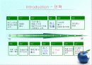 아이팟분석 6페이지