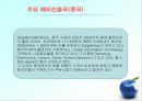 아이팟분석 12페이지