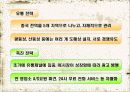 한국타이어 19페이지