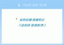 태안반도 무인도 활용 테마파크 조성 안 -Theme Park 'Rainbow Wonderland'- 5페이지