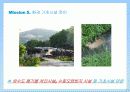 태안반도 무인도 활용 테마파크 조성 안 -Theme Park 'Rainbow Wonderland'- 11페이지