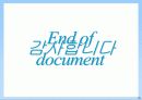 태안반도 무인도 활용 테마파크 조성 안 -Theme Park 'Rainbow Wonderland'- 35페이지