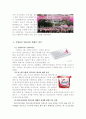 핑크리본 캠페인(완) 5페이지