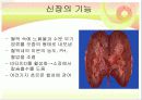 신장질환 및 신장의 식이요법 3페이지