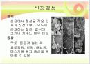 신장질환 및 신장의 식이요법 12페이지