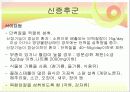 신장질환 및 신장의 식이요법 17페이지