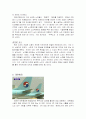 귀족노조 사례 분석 및 이해와 대처 반안(유성기업, 현대자동차, 대한항공, 은행 등) 11페이지