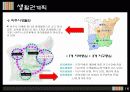 파주_신도시 17페이지