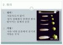중력가속도 실험 4페이지