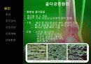 골다공증(Osteoporosis) 3페이지