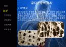골다공증(Osteoporosis) 7페이지