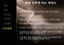 골다공증(Osteoporosis) 16페이지