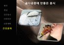 골다공증(Osteoporosis) 20페이지
