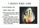 종분화[speciation, 種分化]정리 9페이지