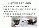 종분화[speciation, 種分化]정리 11페이지